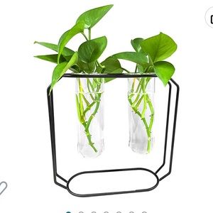 Test Tube Vase Holder